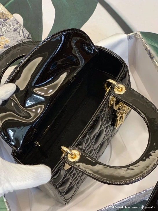 Tony Luxuries BAG-20CM LADY diro MY ABCdiro 0807